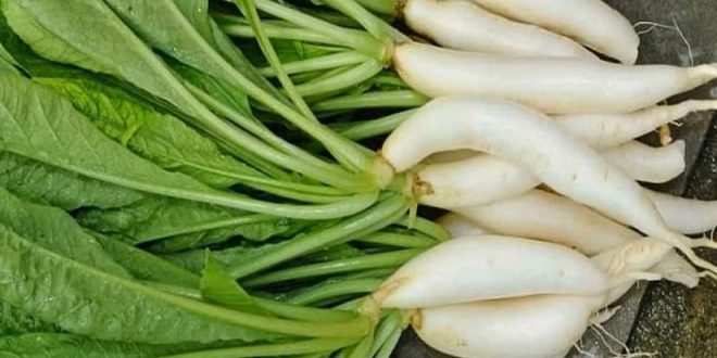 முள்ளங்கியை சாப்பிடுவதால் உடலுக்கு இவ்வளவு நன்மையா ?