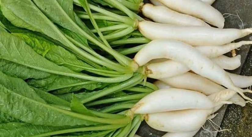 முள்ளங்கியை சாப்பிடுவதால் உடலுக்கு இவ்வளவு நன்மையா ?