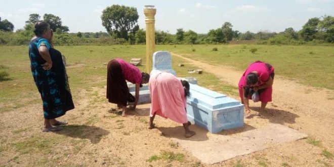 பண்டிவிருச்சான்