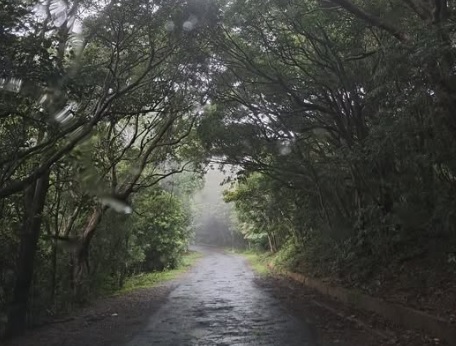 மழைவீழ்ச்சி