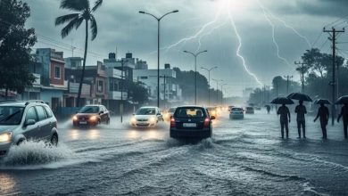 தமிழ்நாட்டில்