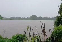 மன்னாரில்