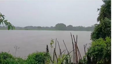 மன்னாரில்