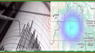 பாகிஸ்தானில்