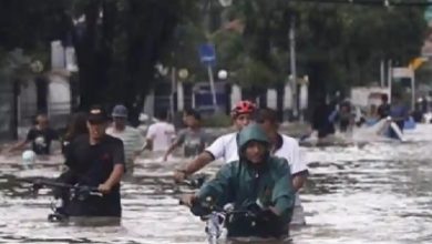 கனமழையால்