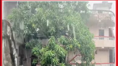 மீண்டும் மழை