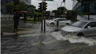 சிங்கப்பூரின்