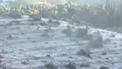 உறைபனியை அனுபவிக்க ஊட்டியில்