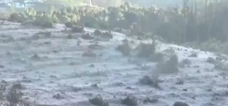 உறைபனியை அனுபவிக்க ஊட்டியில்