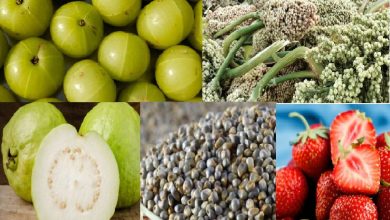 நோய் எதிர்ப்பு