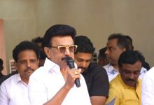 சிறந்த ஜல்லிக்கட்டு